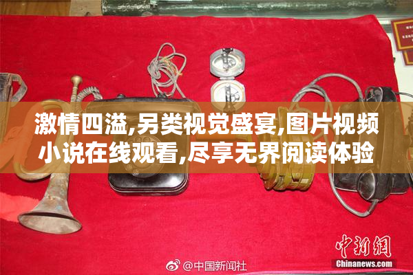 激情四溢,另类视觉盛宴,图片视频小说在线观看,尽享无界阅读体验