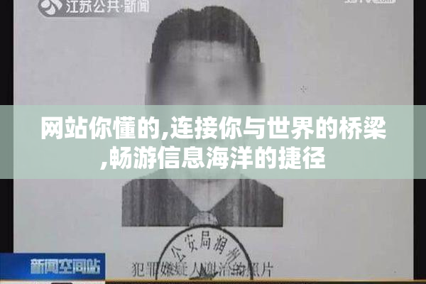 网站你懂的,连接你与世界的桥梁,畅游信息海洋的捷径