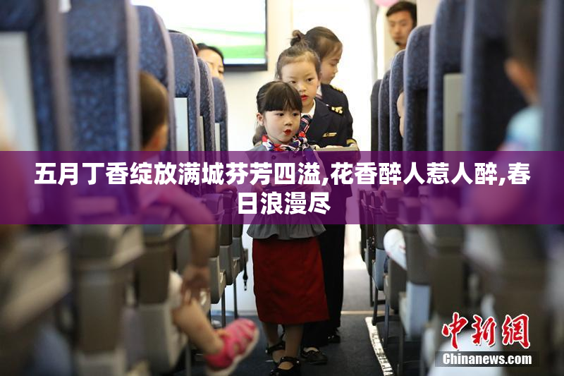 五月丁香绽放满城芬芳四溢,花香醉人惹人醉,春日浪漫尽