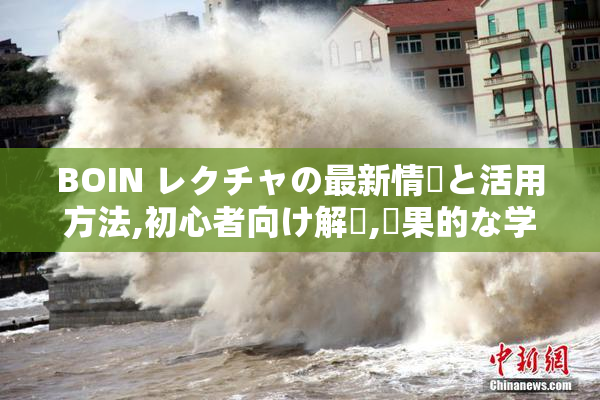 BOIN レクチャの最新情報と活用方法,初心者向け解説,効果的な学習