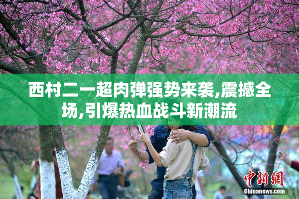 西村二一超肉弹强势来袭,震撼全场,引爆热血战斗新潮流