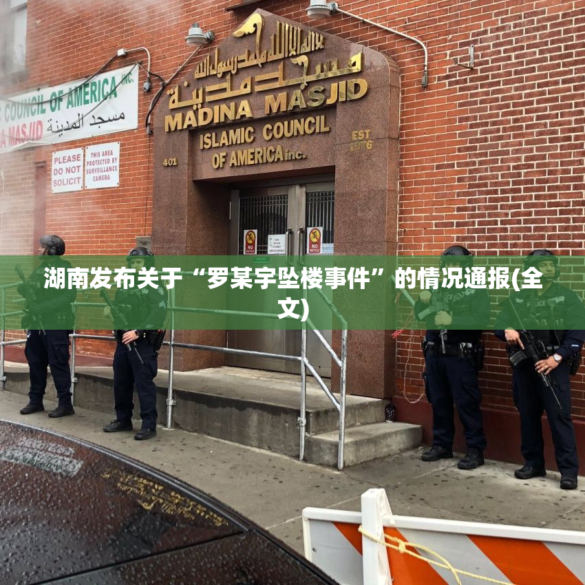 湖南发布关于“罗某宇坠楼事件”的情况通报(全文)