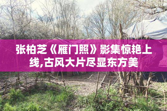 张柏芝《雁门照》影集惊艳上线,古风大片尽显东方美