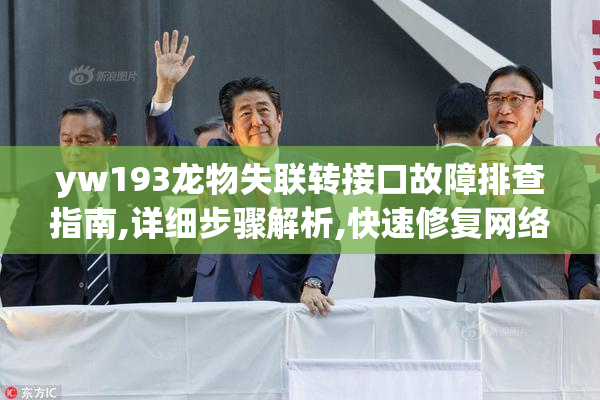 yw193龙物失联转接口故障排查指南,详细步骤解析,快速修复网络连接