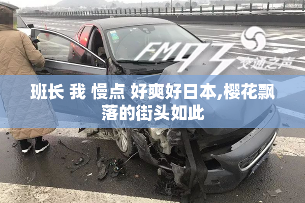 班长 我 慢点 好爽好日本,樱花飘落的街头如此
