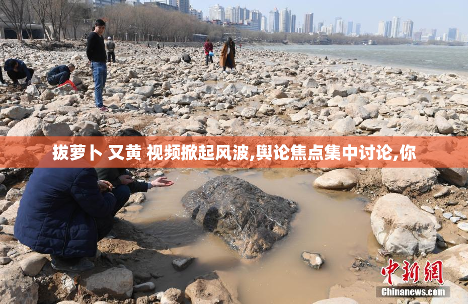 拔萝卜 又黄 视频掀起风波,舆论焦点集中讨论,你