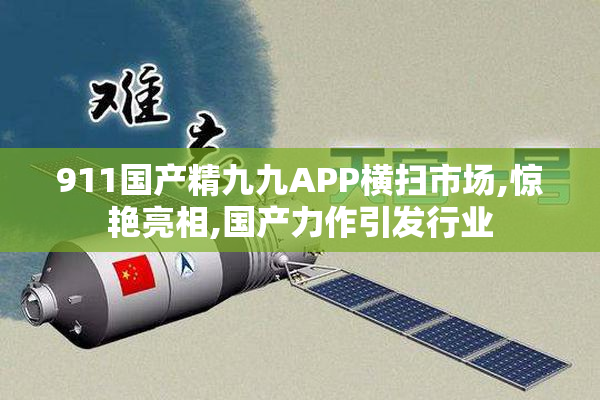 911国产精九九APP横扫市场,惊艳亮相,国产力作引发行业