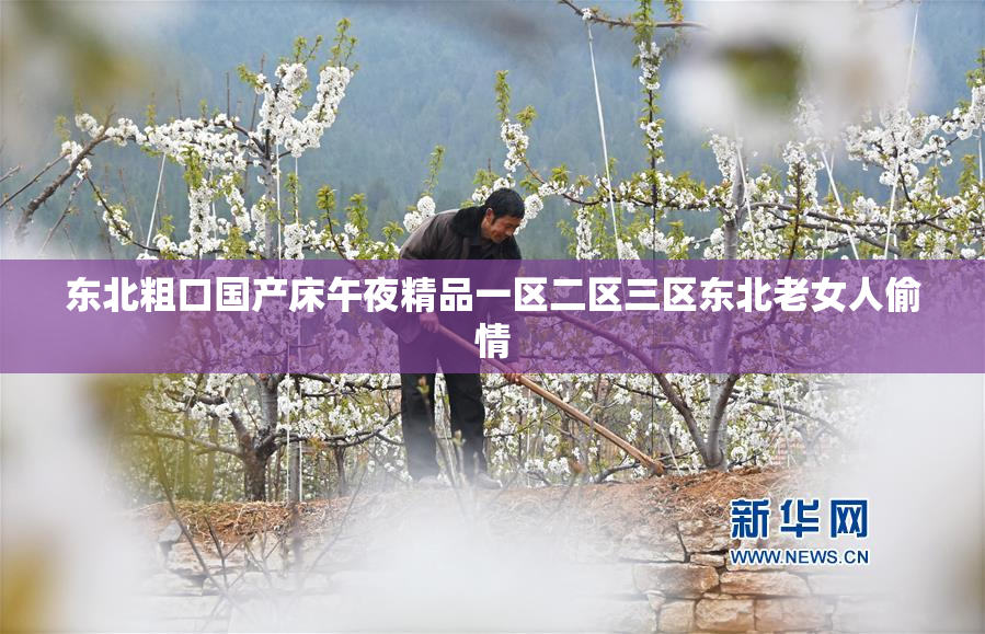 东北粗口国产床午夜精品一区二区三区东北老女人偷情