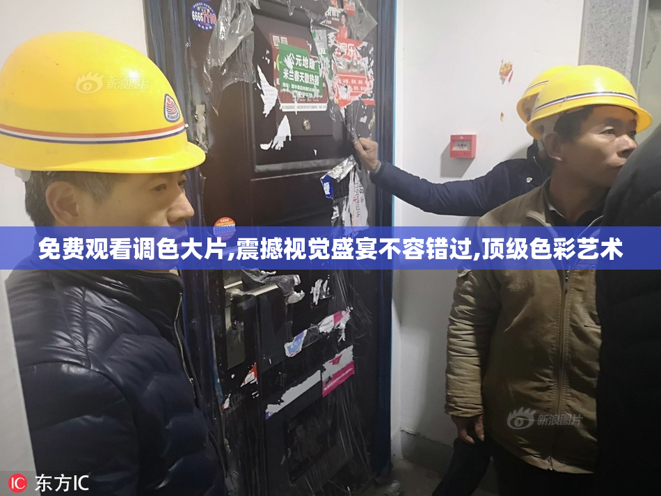 免费观看调色大片,震撼视觉盛宴不容错过,顶级色彩艺术