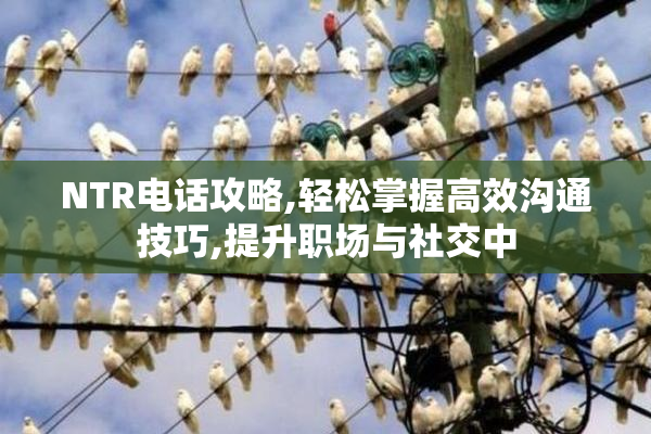 NTR电话攻略,轻松掌握高效沟通技巧,提升职场与社交中