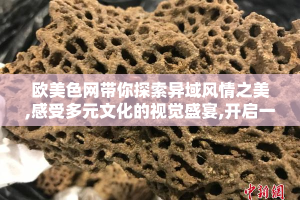 欧美色网带你探索异域风情之美,感受多元文化的视觉盛宴,开启一场
