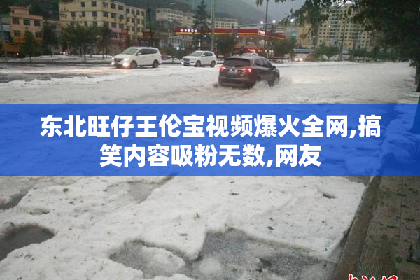 东北旺仔王伦宝视频爆火全网,搞笑内容吸粉无数,网友