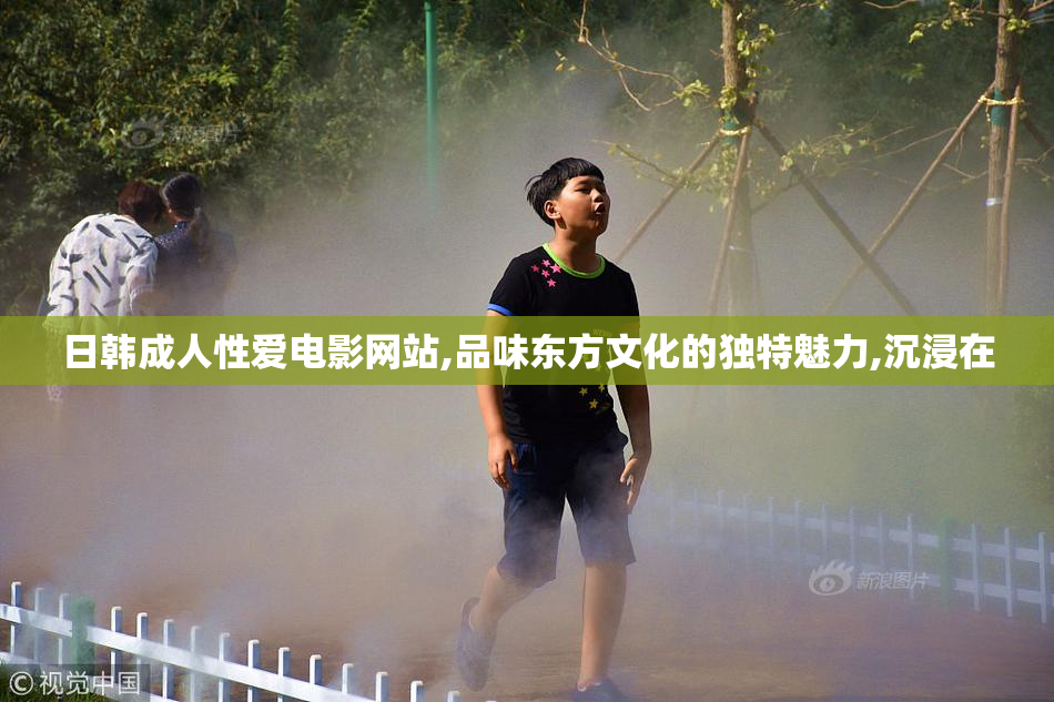日韩成人性爱电影网站,品味东方文化的独特魅力,沉浸在