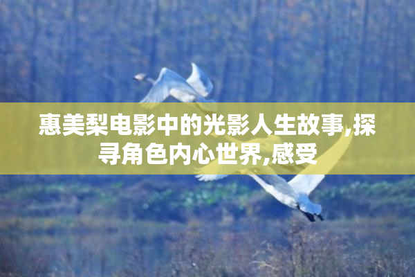惠美梨电影中的光影人生故事,探寻角色内心世界,感受