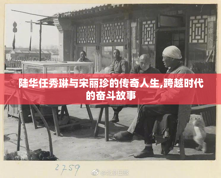 陆华任秀琳与宋丽珍的传奇人生,跨越时代的奋斗故事