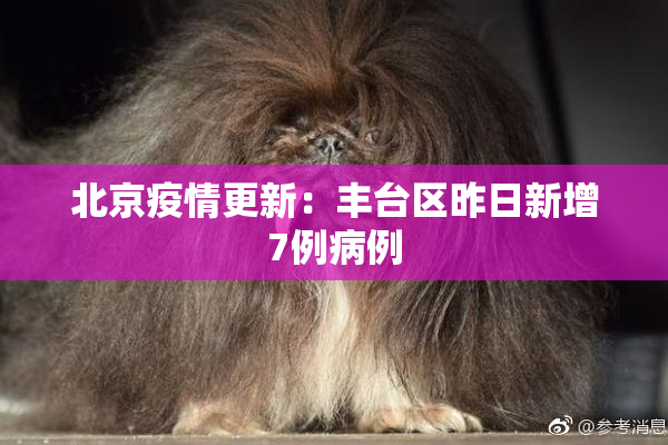 北京疫情更新：丰台区昨日新增7例病例