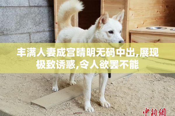 丰满人妻成宫晴明无码中出,展现极致诱惑,令人欲罢不能