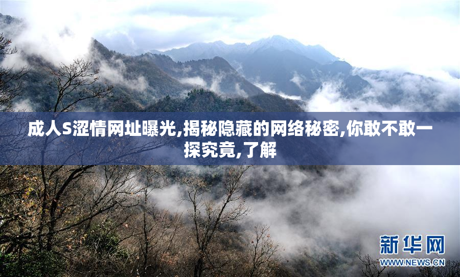 成人S涩情网址曝光,揭秘隐藏的网络秘密,你敢不敢一探究竟,了解