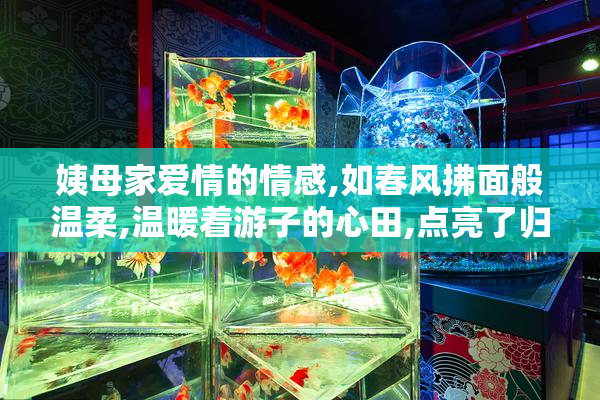 姨母家爱情的情感,如春风拂面般温柔,温暖着游子的心田,点亮了归家