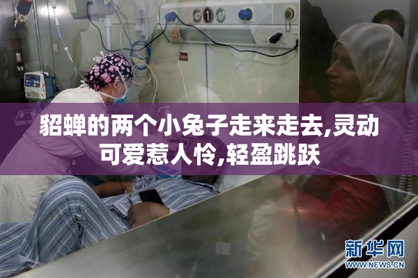 貂蝉的两个小兔子走来走去,灵动可爱惹人怜,轻盈跳跃