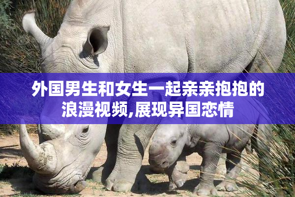 外国男生和女生一起亲亲抱抱的浪漫视频,展现异国恋情