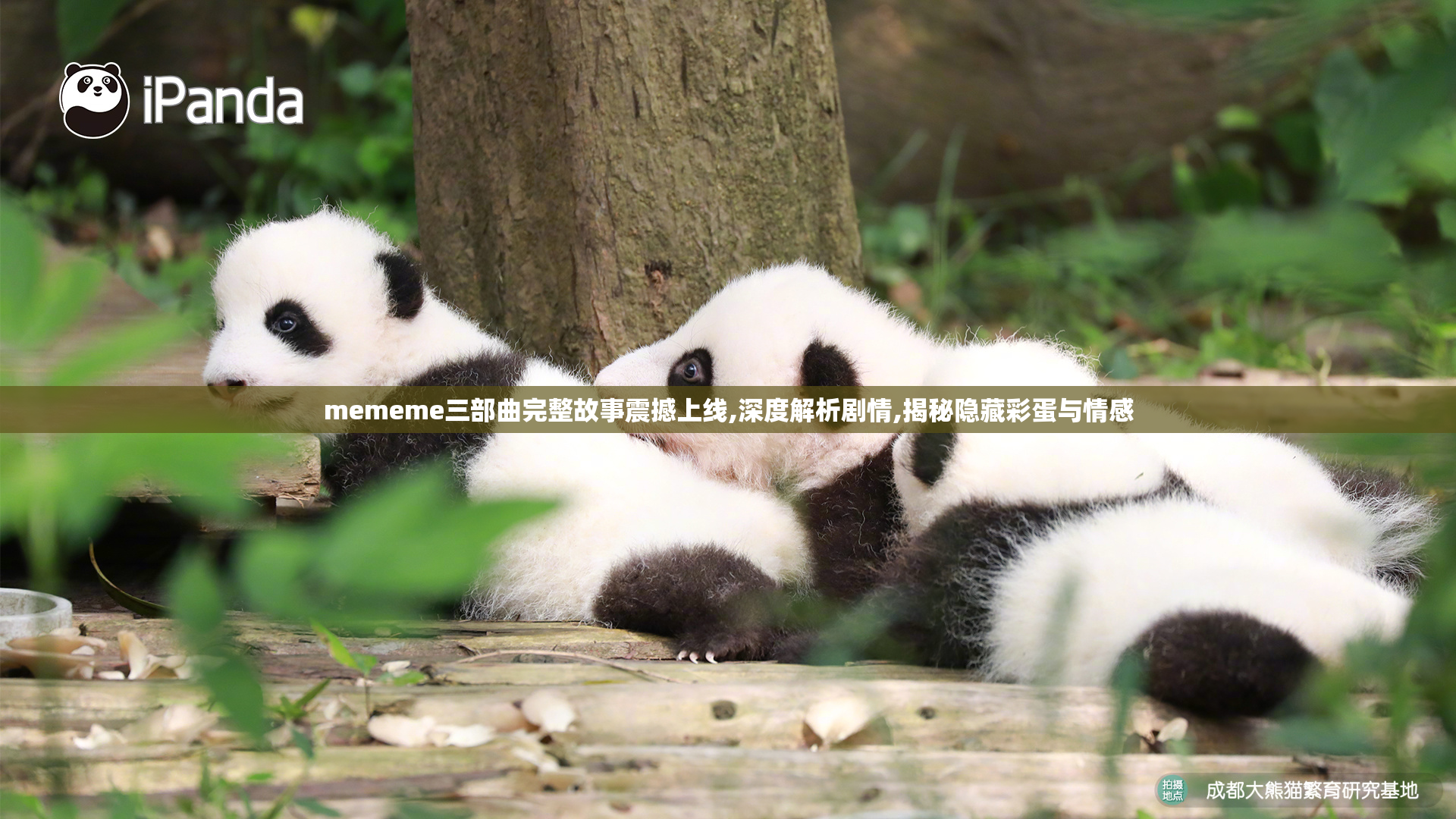 mememe三部曲完整故事震撼上线,深度解析剧情,揭秘隐藏彩蛋与情感