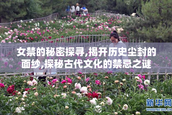 女禁的秘密探寻,揭开历史尘封的面纱,探秘古代文化的禁忌之谜
