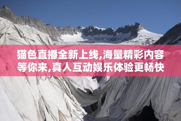 猫色直播全新上线,海量精彩内容等你来,真人互动娱乐体验更畅快