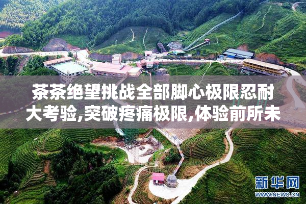 茶茶绝望挑战全部脚心极限忍耐大考验,突破疼痛极限,体验前所未有