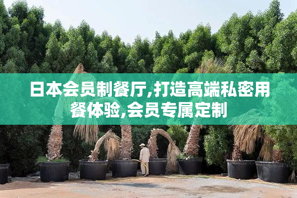 日本会员制餐厅,打造高端私密用餐体验,会员专属定制