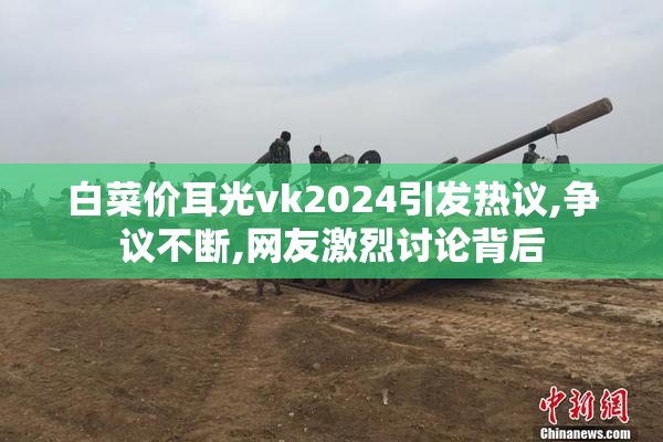 白菜价耳光vk2024引发热议,争议不断,网友激烈讨论背后