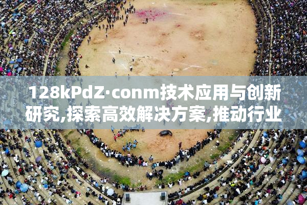 128kPdZ·conm技术应用与创新研究,探索高效解决方案,推动行业数字