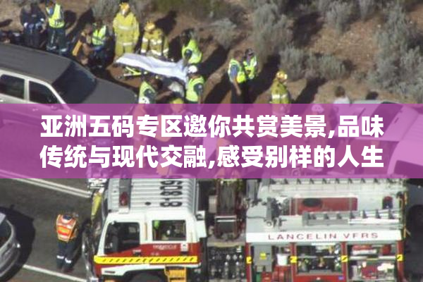 亚洲五码专区邀你共赏美景,品味传统与现代交融,感受别样的人生