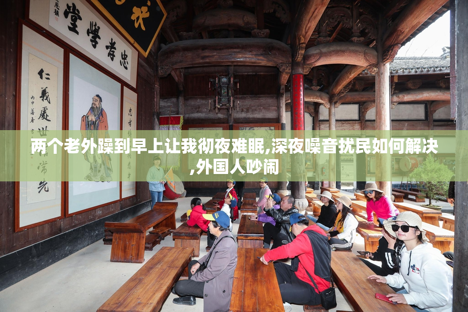 两个老外躁到早上让我彻夜难眠,深夜噪音扰民如何解决,外国人吵闹
