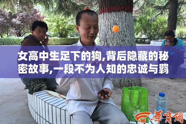 女高中生足下的狗,背后隐藏的秘密故事,一段不为人知的忠诚与羁绊