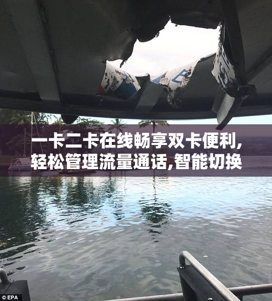 一卡二卡在线畅享双卡便利,轻松管理流量通话,智能切换更省心