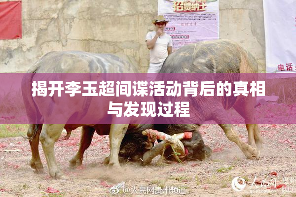 揭开李玉超间谍活动背后的真相与发现过程