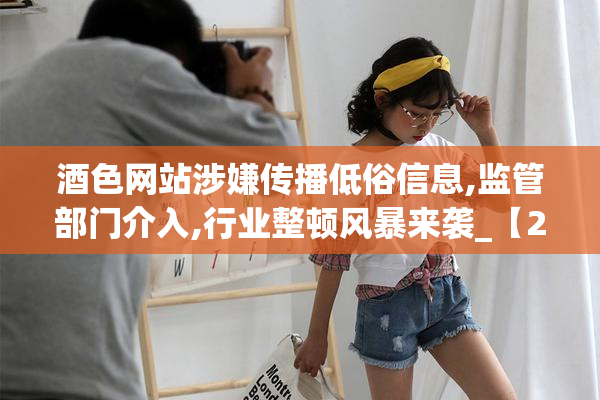 酒色网站涉嫌传播低俗信息,监管部门介入,行业整顿风暴来袭_【2025