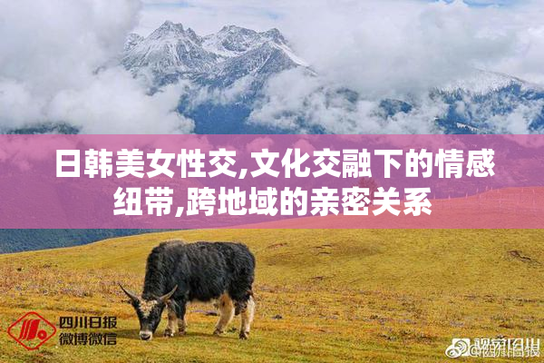 日韩美女性交,文化交融下的情感纽带,跨地域的亲密关系