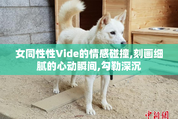 女同性性Vide的情感碰撞,刻画细腻的心动瞬间,勾勒深沉