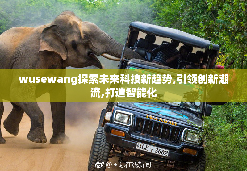 wusewang探索未来科技新趋势,引领创新潮流,打造智能化