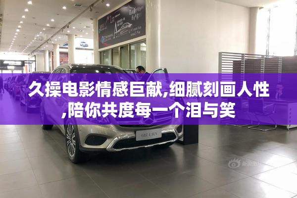 久操电影情感巨献,细腻刻画人性,陪你共度每一个泪与笑