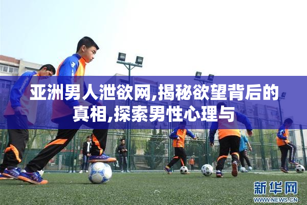 亚洲男人泄欲网,揭秘欲望背后的真相,探索男性心理与