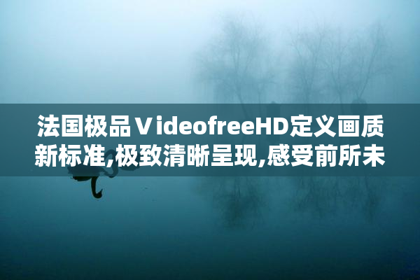 法国极品ⅤideofreeHD定义画质新标准,极致清晰呈现,感受前所未有