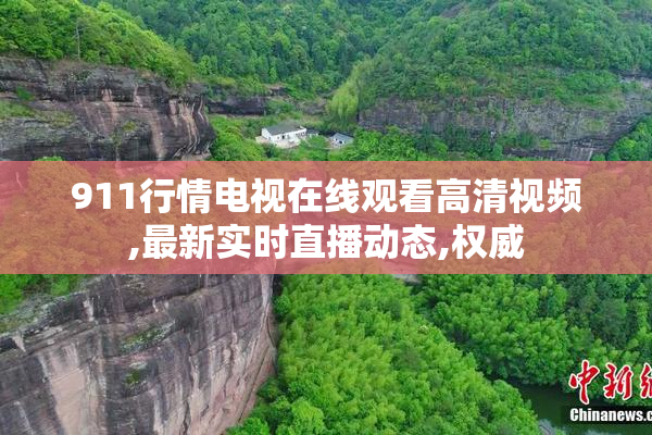911行情电视在线观看高清视频,最新实时直播动态,权威