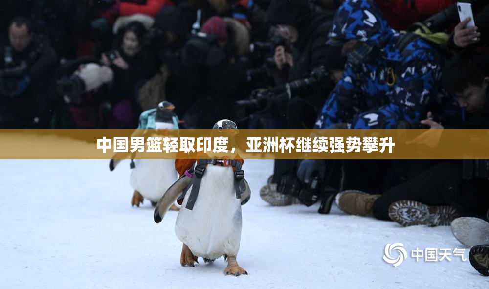 中国男篮轻取印度，亚洲杯继续强势攀升