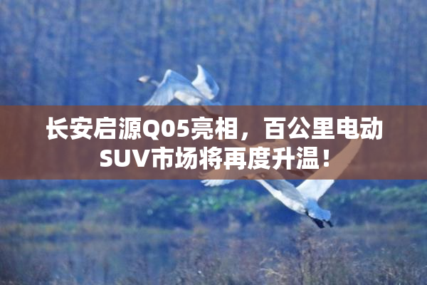 长安启源Q05亮相，百公里电动SUV市场将再度升温！