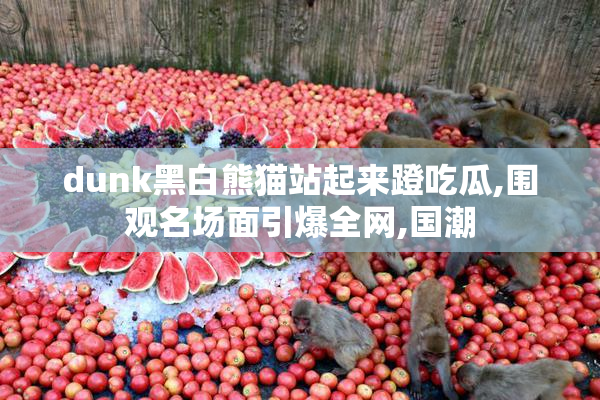 dunk黑白熊猫站起来蹬吃瓜,围观名场面引爆全网,国潮