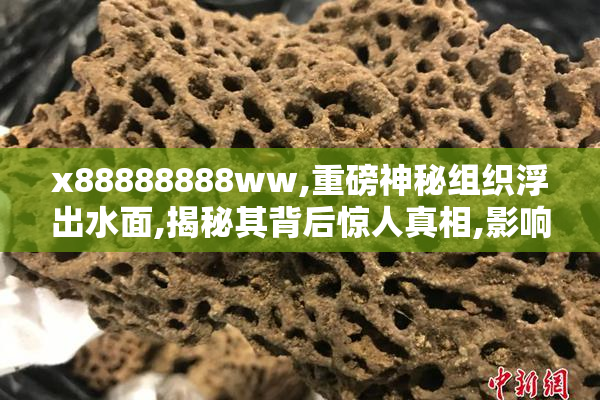 x88888888ww,重磅神秘组织浮出水面,揭秘其背后惊人真相,影响全球