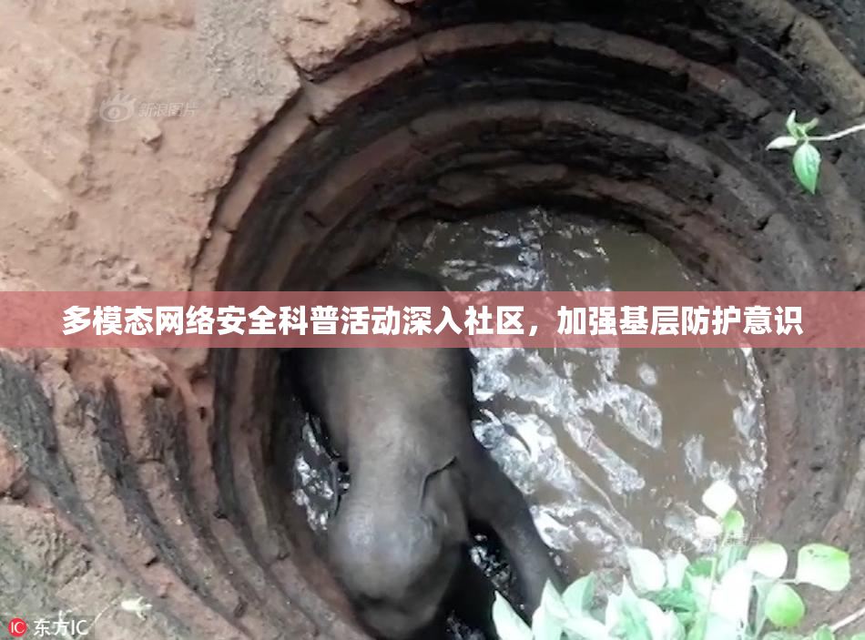 多模态网络安全科普活动深入社区，加强基层防护意识